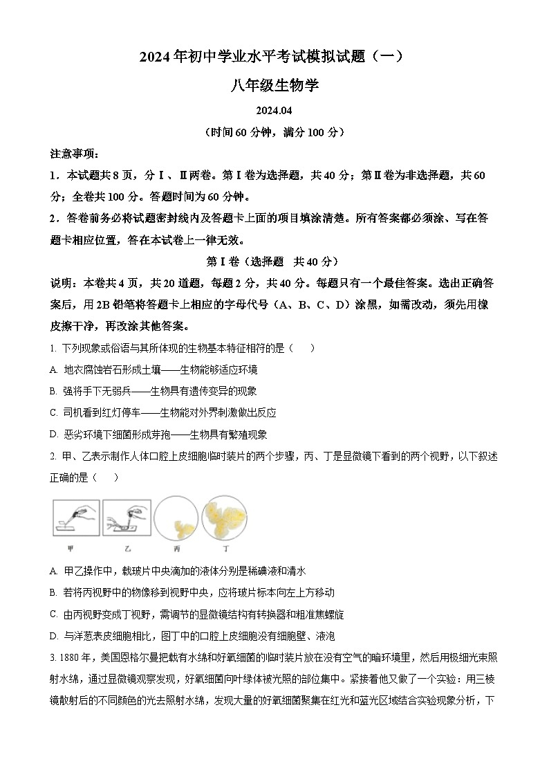 2024年山东省潍坊安丘市中考一模生物试题（原卷版+解析版）01