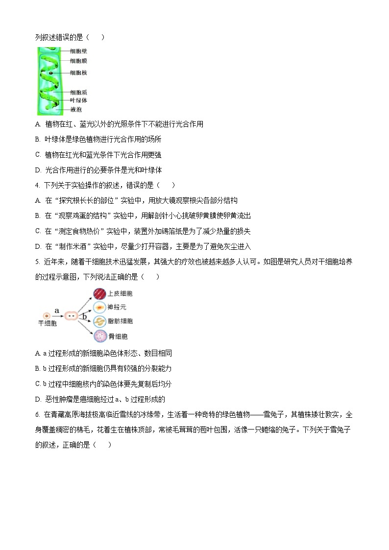 2024年山东省潍坊安丘市中考一模生物试题（原卷版+解析版）02