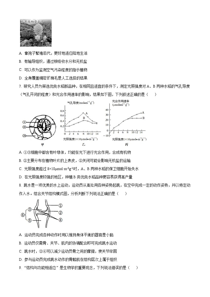 2024年山东省潍坊安丘市中考一模生物试题（原卷版+解析版）03