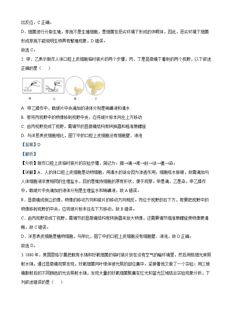 2024年山东省潍坊安丘市中考一模生物试题（原卷版+解析版）02