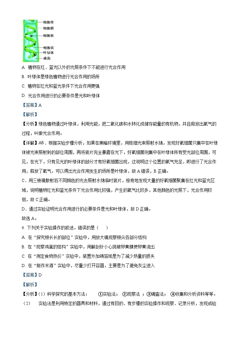 2024年山东省潍坊安丘市中考一模生物试题（原卷版+解析版）03