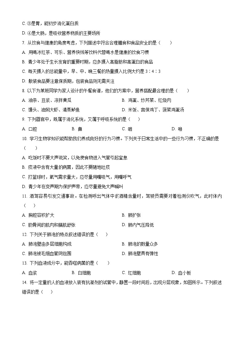 广西南宁市天桃实验学校2023-2024学年七年级下学期期中生物试题（原卷版）第2页