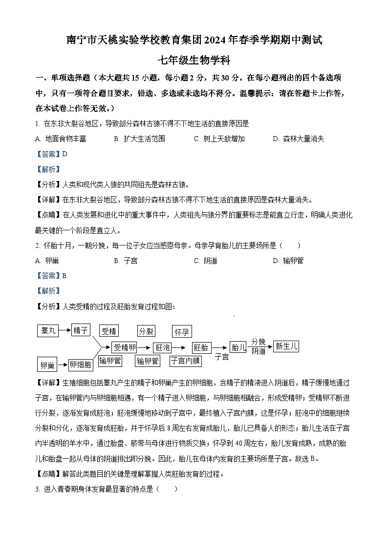 广西南宁市天桃实验学校2023-2024学年七年级下学期期中生物试题（解析版）第1页