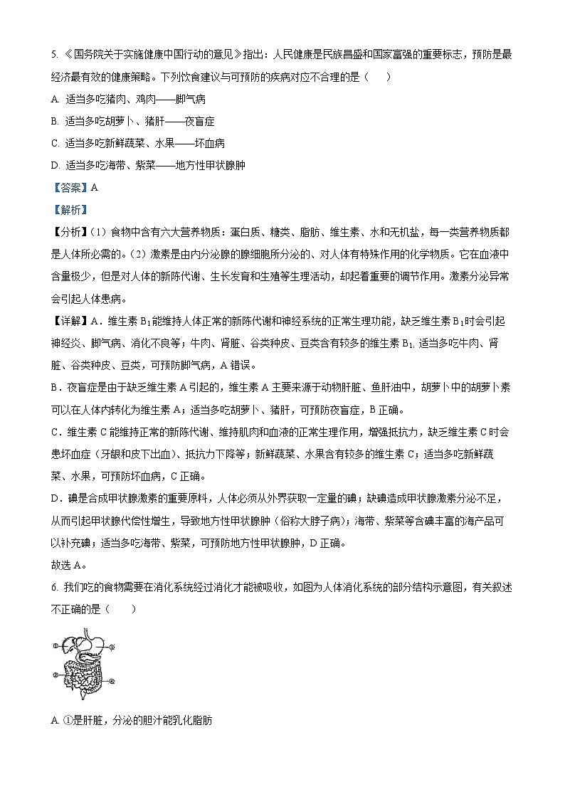 广西南宁市天桃实验学校2023-2024学年七年级下学期期中生物试题（解析版）第3页