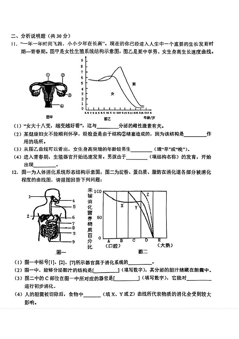 甘肃省陇南市武都区城关学校2023--2024学年七年级下学期期中生物试题02