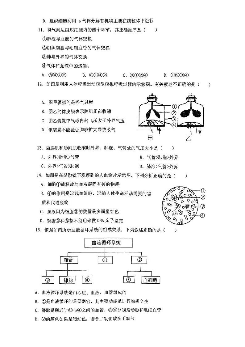 辽宁省丹东市第十九中学2023--2024学年七年级下学期期中测试生物试卷03
