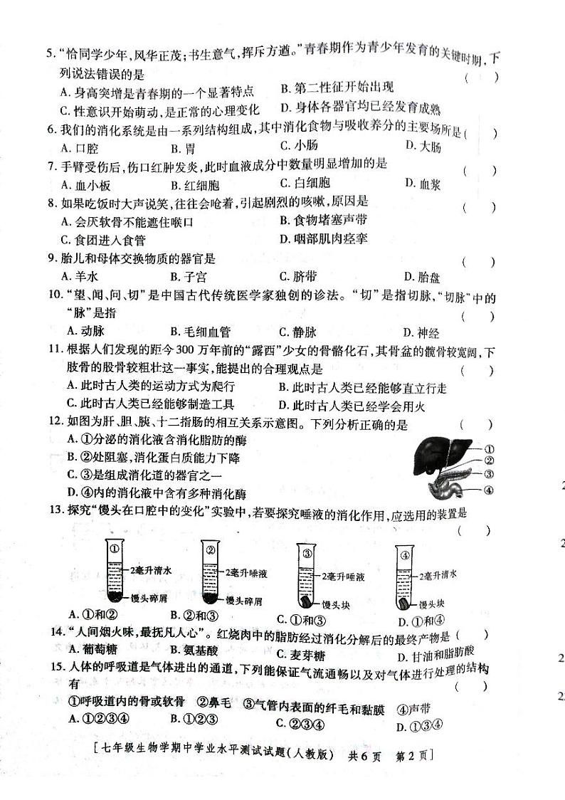 陕西省永寿县义井中学2023-2024学年七年级下学期期中生物试题02