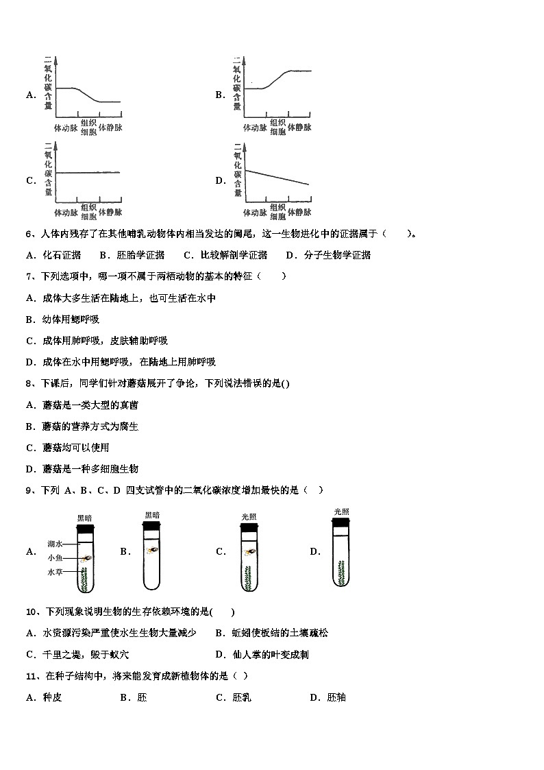 2024年河北省石家庄市长安区中考冲刺卷生物试题++第2页