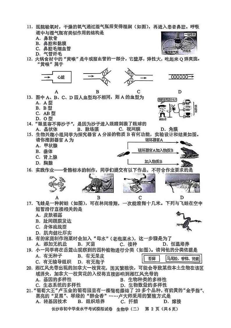 2024年湖南省长沙市初中学业水平考试模拟卷（二）生物试卷02
