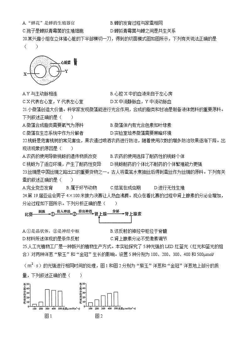 福建省泉州五中2023-2024学年八年级下学期期中考试生物试题03