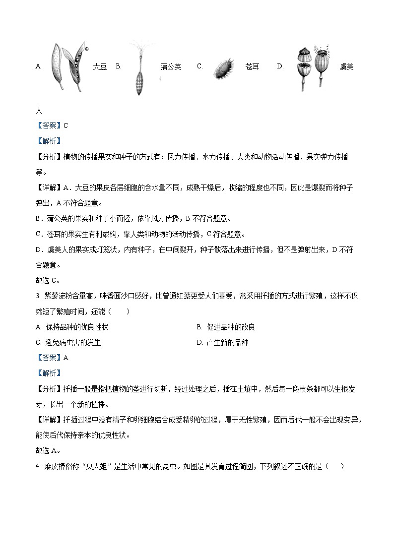 安徽省滁州市全椒县2023-2024学年八年级下学期期中生物试题（原卷版+解析版）02