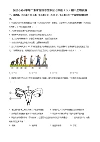 广东省深圳市龙华区2023-2024学年七年级下学期期中生物试题（原卷版+解析版）