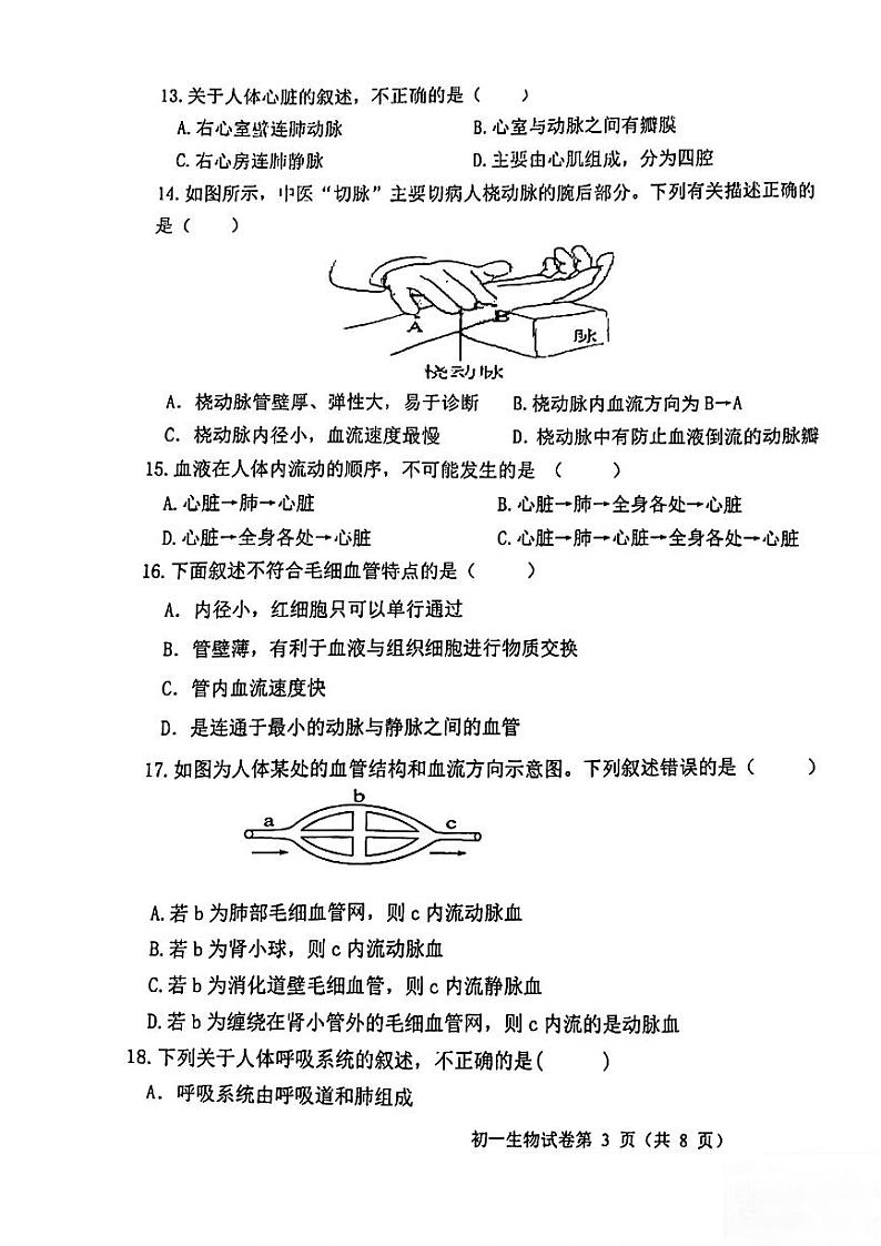 云南省玉溪市玉溪五中，玉溪八中五校2023-2024学年七年级下学期5月期中生物试题03
