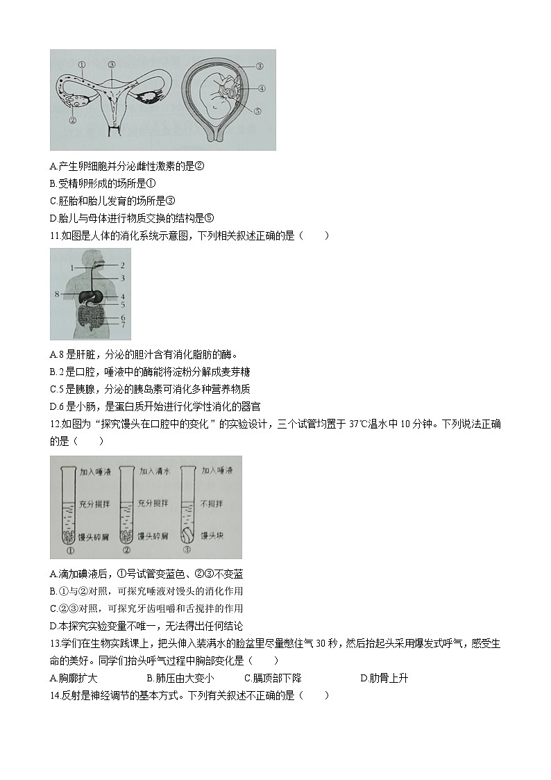 2024年广东省东莞市中考二模生物试题03