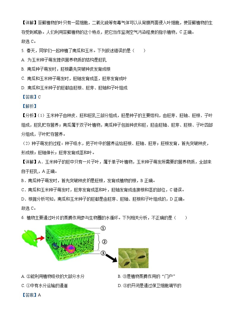 2024年广东省茂名市信宜市中考一模生物试题（原卷版+解析版）03
