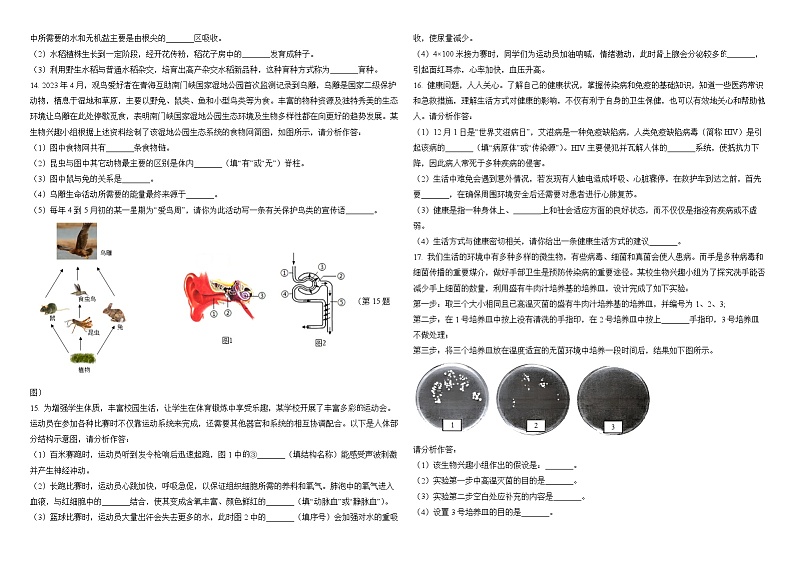 中考生物模拟试卷及答案第2页