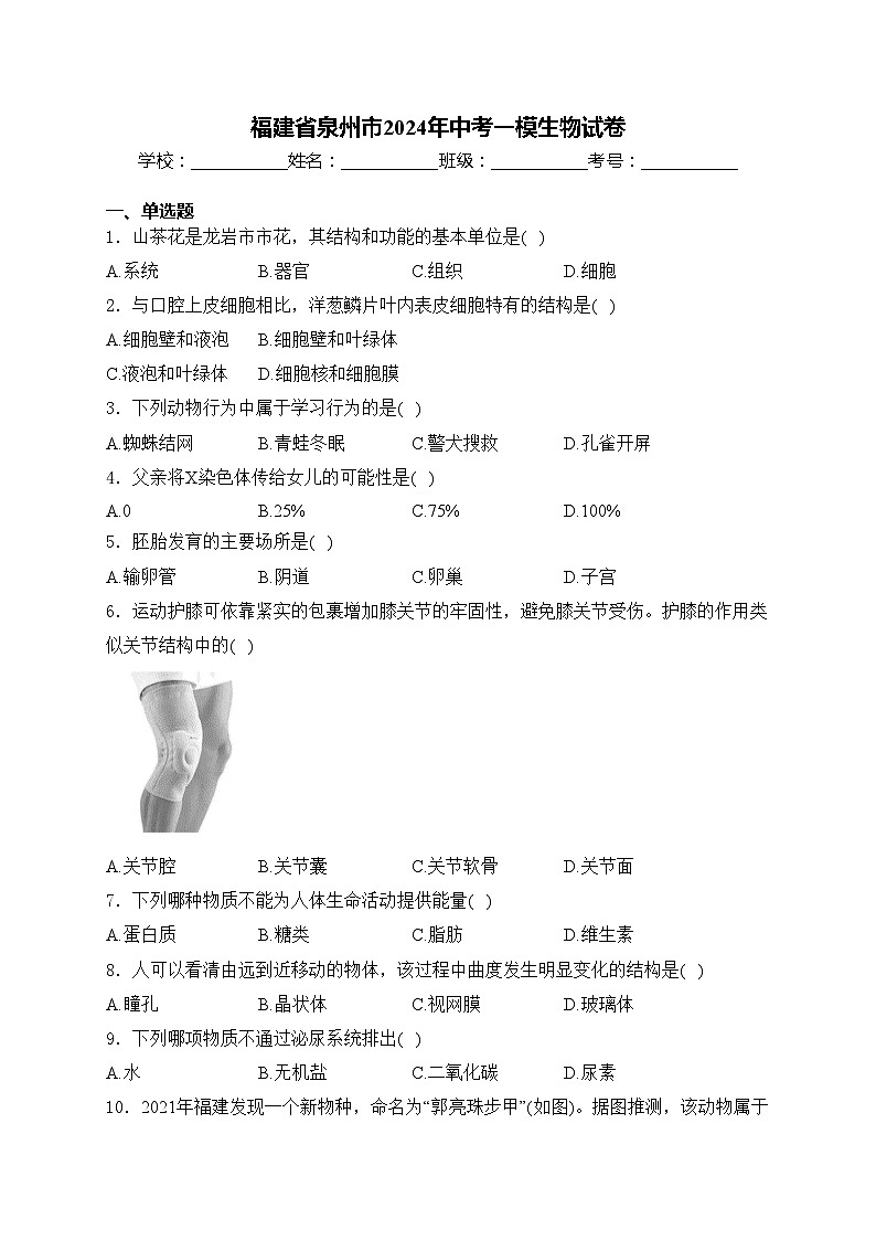 福建省泉州市2024年中考一模生物试卷(含答案)01