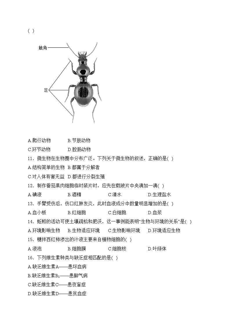 福建省泉州市2024年中考一模生物试卷(含答案)02