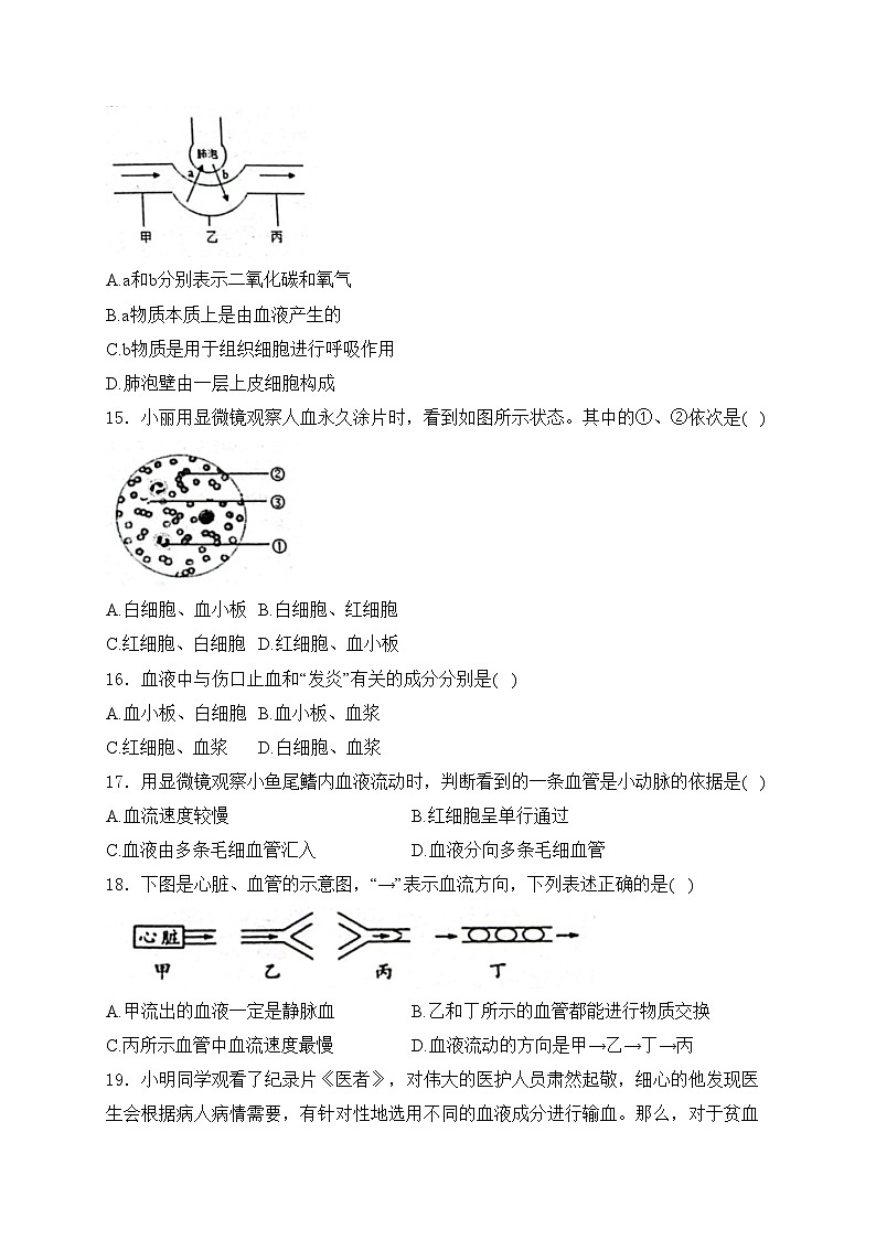 河南省信阳市息县2023-2024学年七年级下学期4月期中考试生物试卷(含答案)第3页