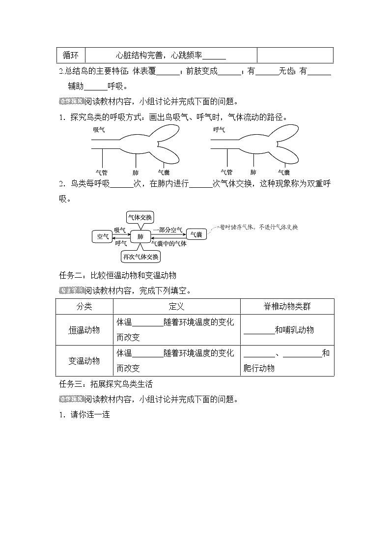 5.1.6鸟导学案-2023--2024学年人教版生物八年级上册02