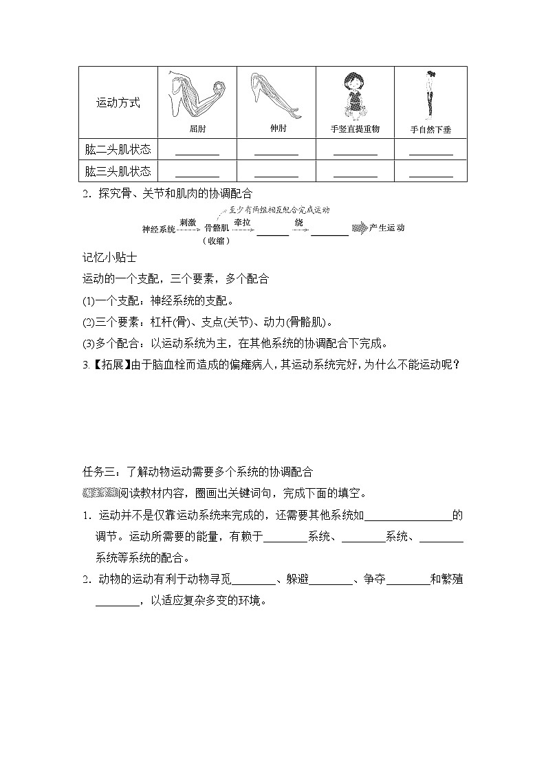 5.2.1动物的运动导学案-2023--2024学年人教版生物八年级上册02