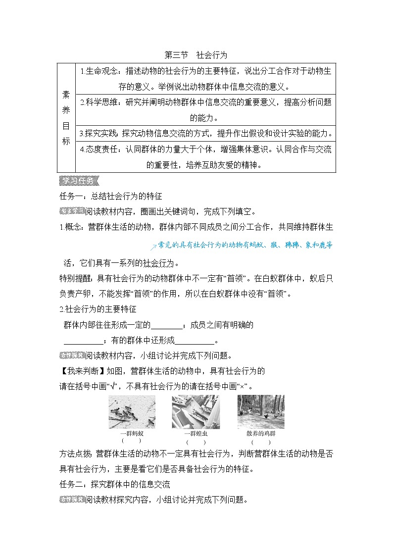 5.2.3社会行为导学案-2023--2024学年人教版生物八年级上册01