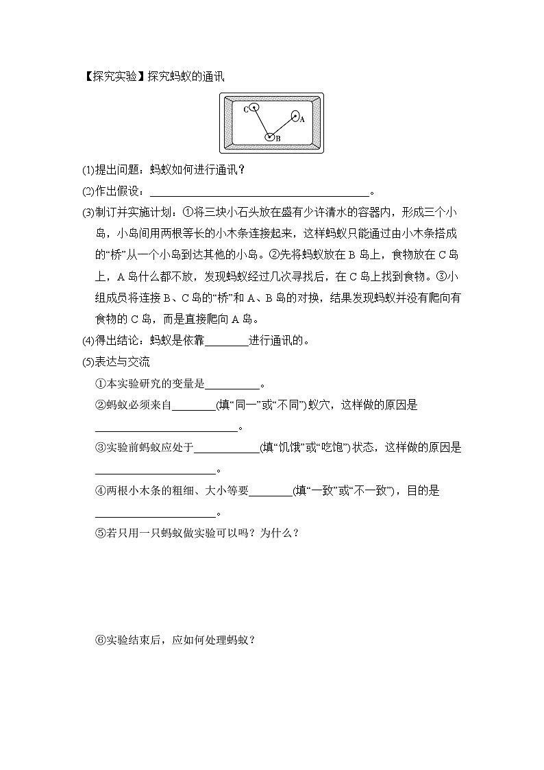 5.2.3社会行为导学案-2023--2024学年人教版生物八年级上册02