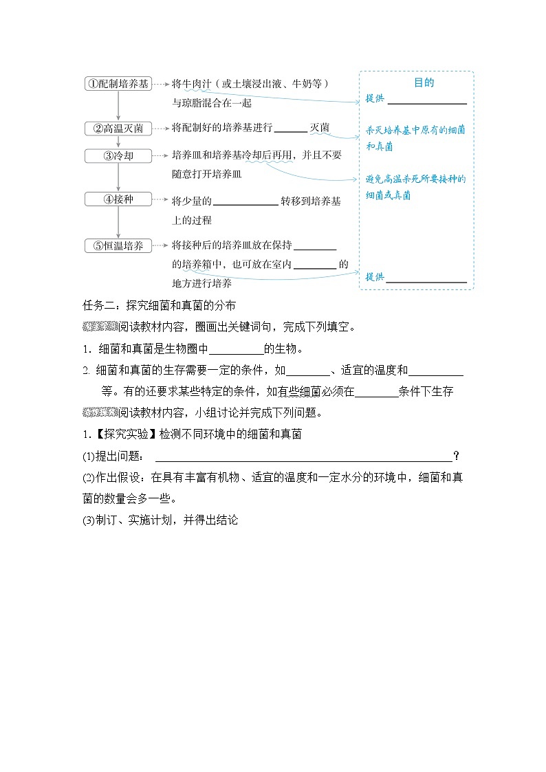 5.4.1细菌和真菌的分布导学案-2023--2024学年人教版生物八年级上册02