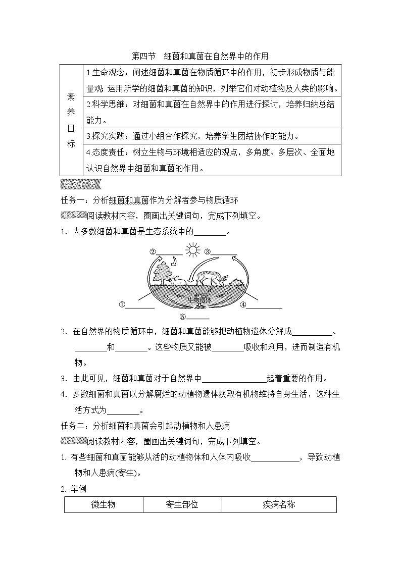 5.4.4细菌和真菌在自然界中的作用导学案-2023--2024学年人教版生物八年级上册01