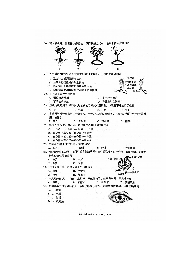 2024年江苏省镇江市中考模拟生物试题03