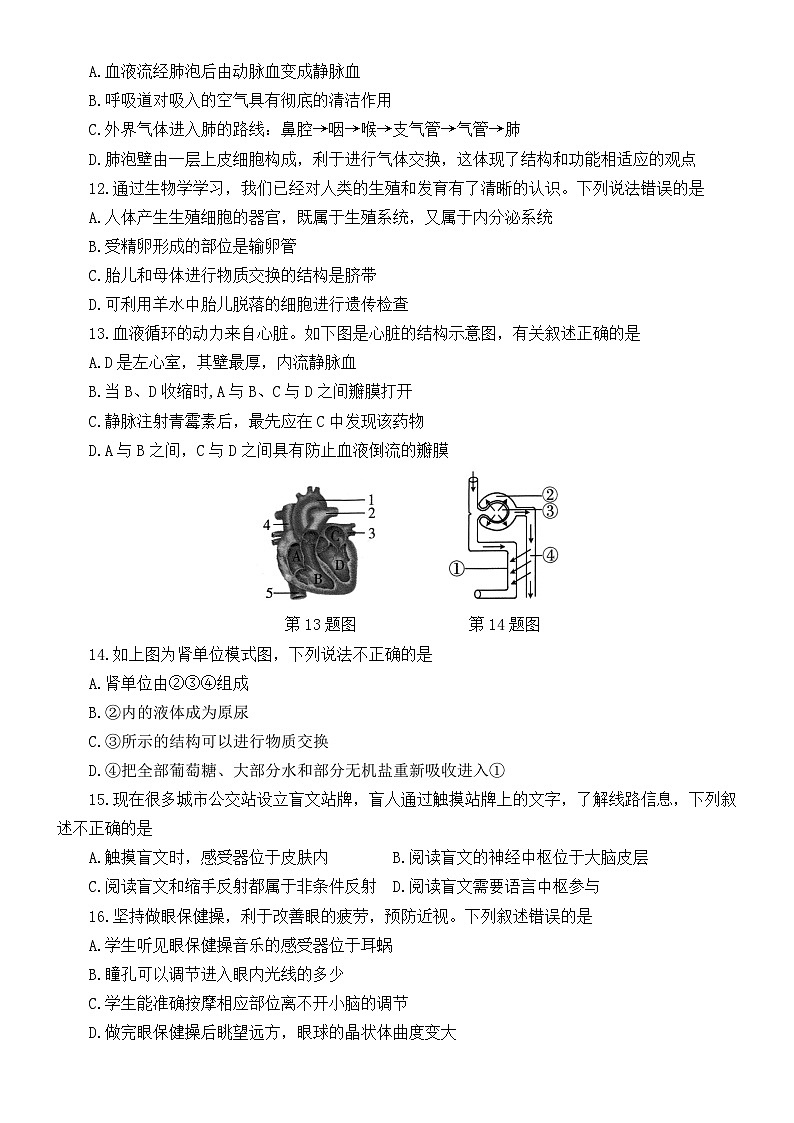 2024学年山东省济宁市兖州区第二十中学初中学业水平模拟测试生物试题第3页