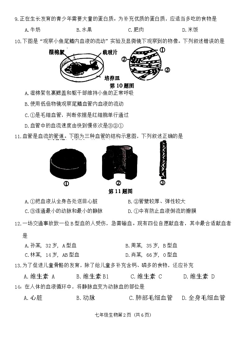 辽宁省大连市甘井子区2023-2024学年七年级下学期期中生物试题02