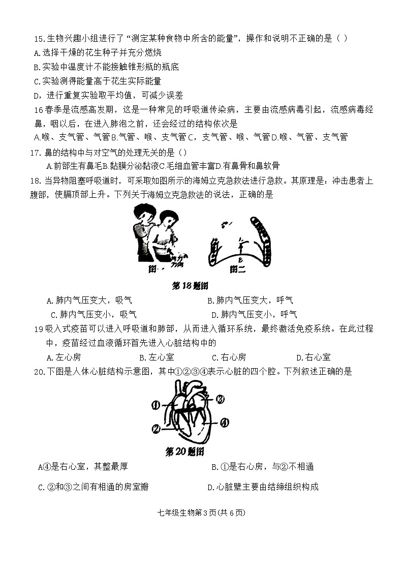 辽宁省大连市甘井子区2023-2024学年七年级下学期期中生物试题03