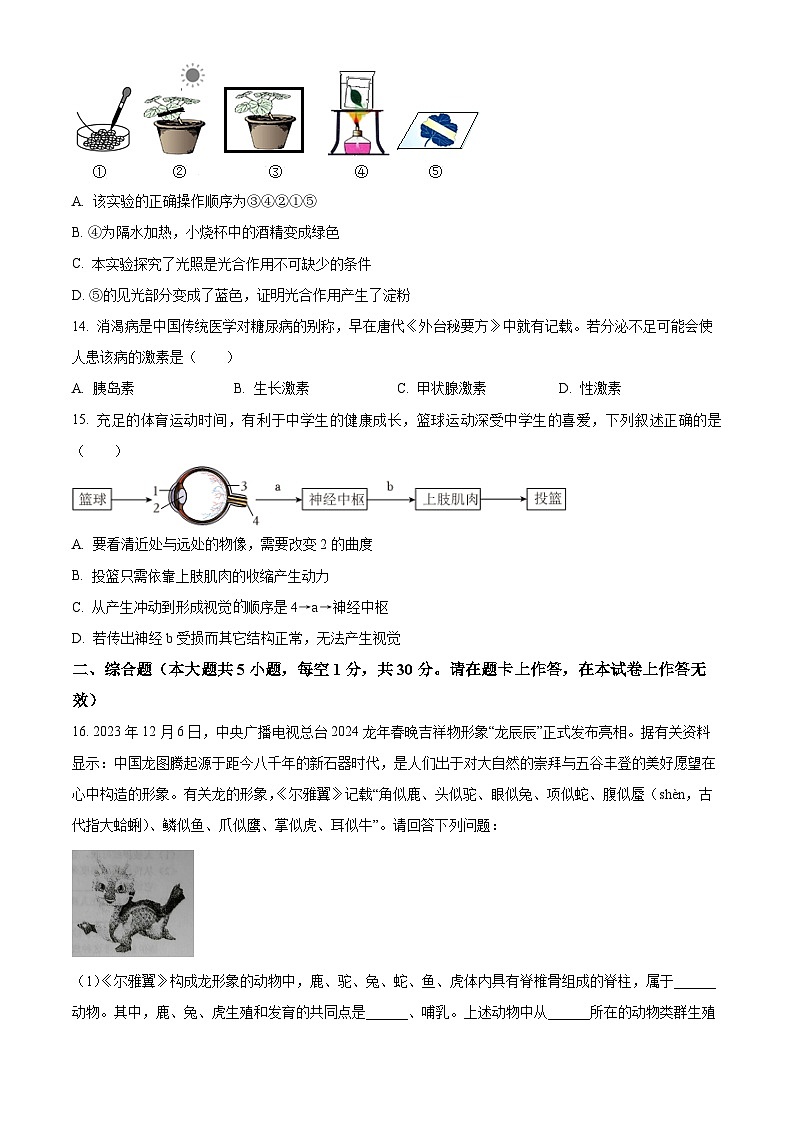 广西北海市合浦县2023-2024学年八年级下学期期中生物试题（原卷版）第3页