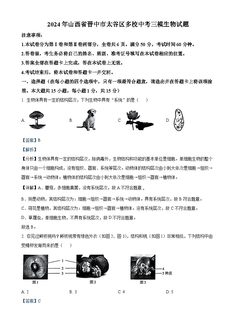 2024年山西省晋中市太谷区多校中考三模生物试题（解析版）第1页
