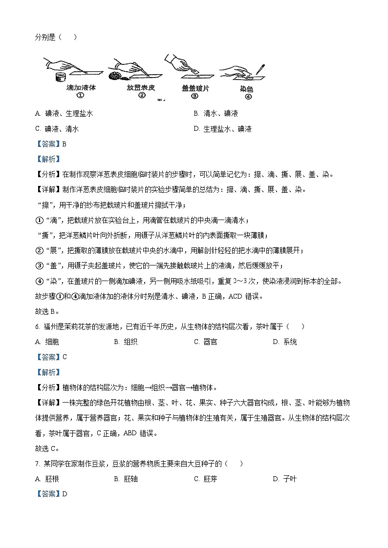 福建省福州市屏东中学2023-2024学年八年级下学期期中生物试题（原卷版+解析版）03