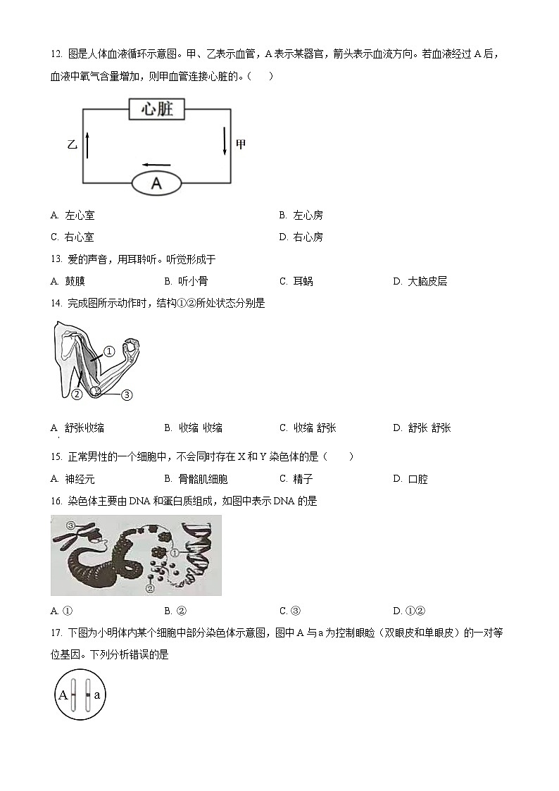 福建省福州市外国语学校2023-2024学年八年级下学期期中生物试题（原卷版+解析版）03