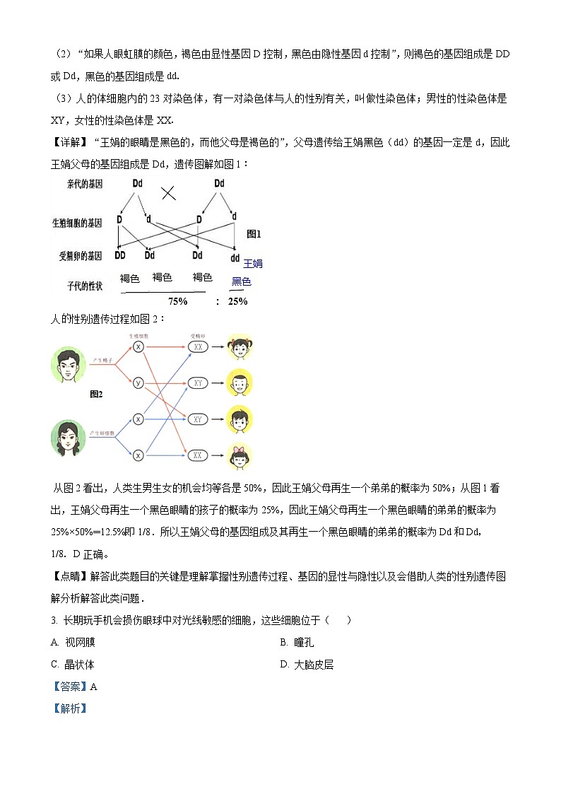 福建省福州市外国语学校2023-2024学年八年级下学期期中生物试题（原卷版+解析版）02
