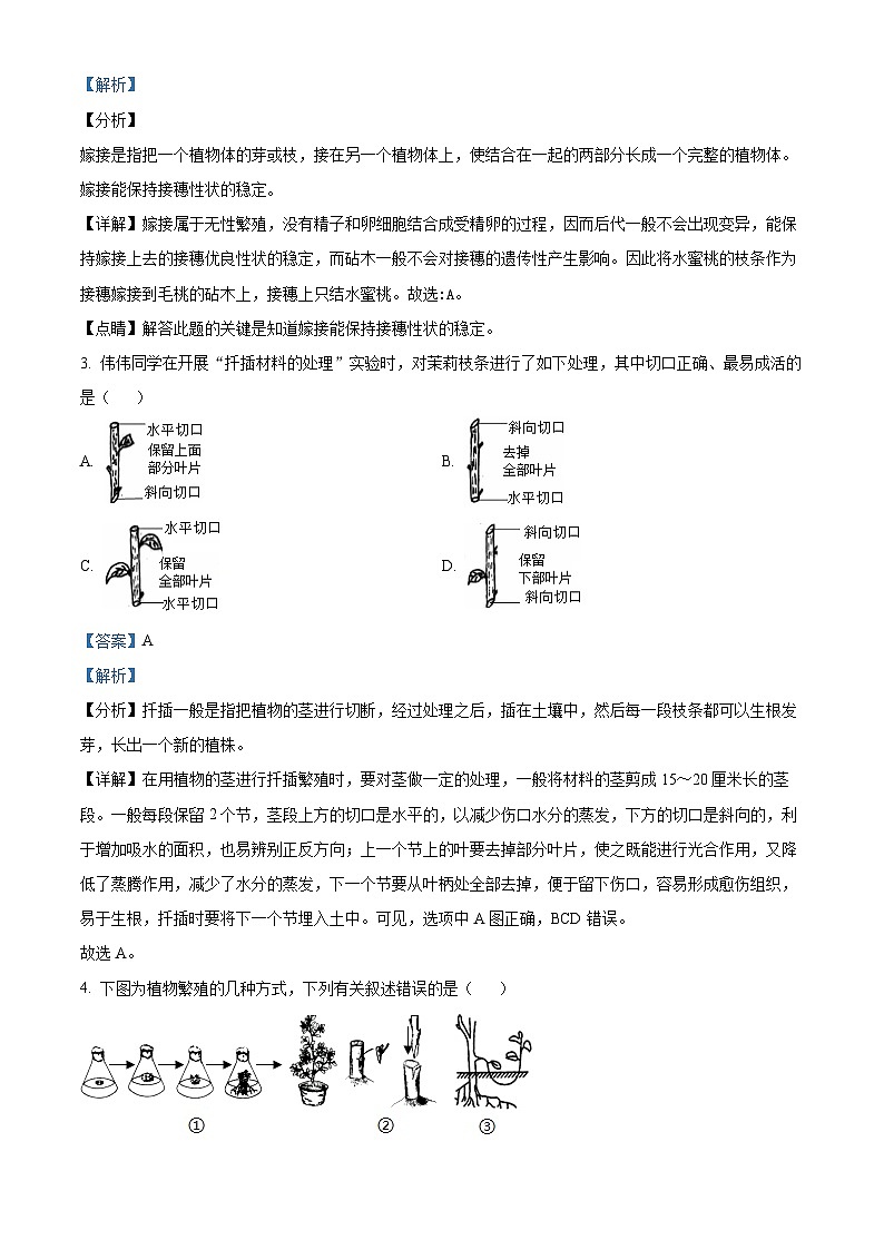河北省沧州市泊头市2023-2024学年八年级下学期期中生物试题（解析版）第2页