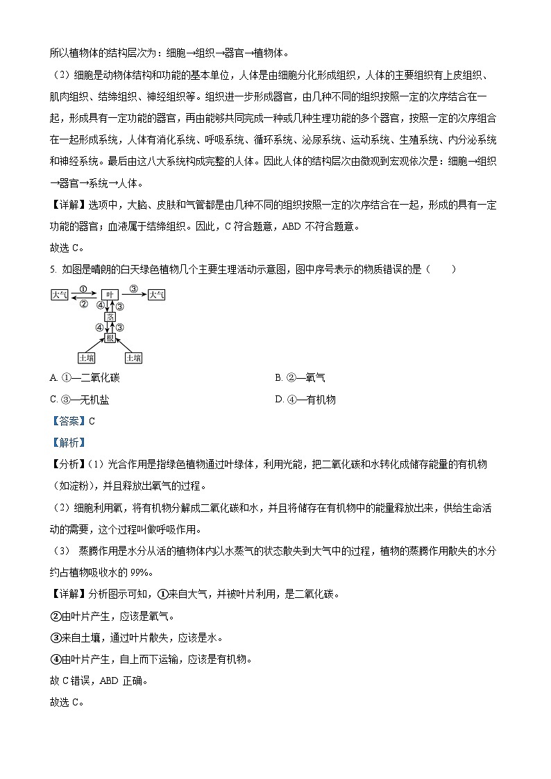 2024年湖南省株洲市初中学业水平考试模拟检测（一模）生物试题03