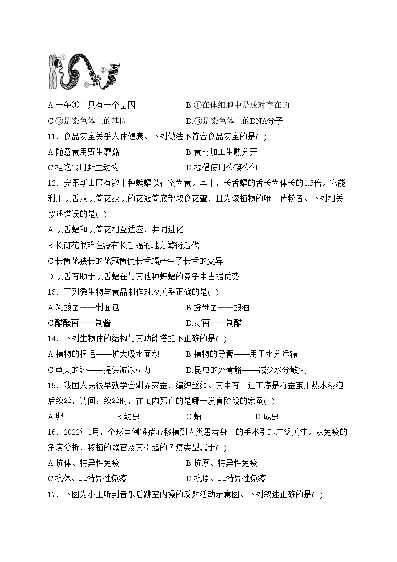 福建省泉州市永春市侨中片区2023-2024学年八年级下学期期中考试生物试卷(含答案)02