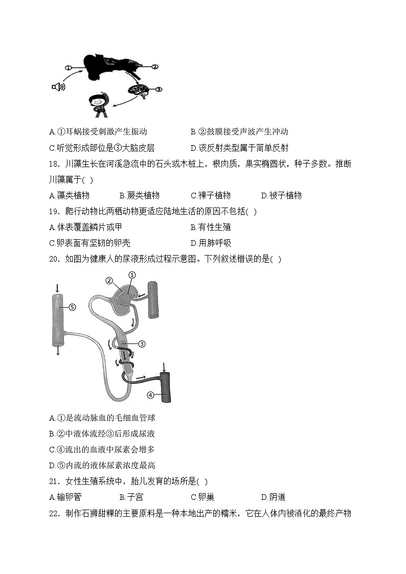 福建省泉州市永春市侨中片区2023-2024学年八年级下学期期中考试生物试卷(含答案)03