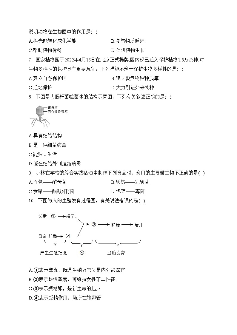 广东省韶关市新丰县2023-2024学年八年级下学期期中考试生物试卷(含答案)02