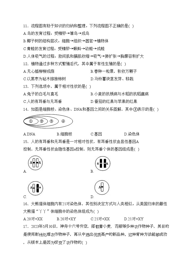 广东省韶关市新丰县2023-2024学年八年级下学期期中考试生物试卷(含答案)03
