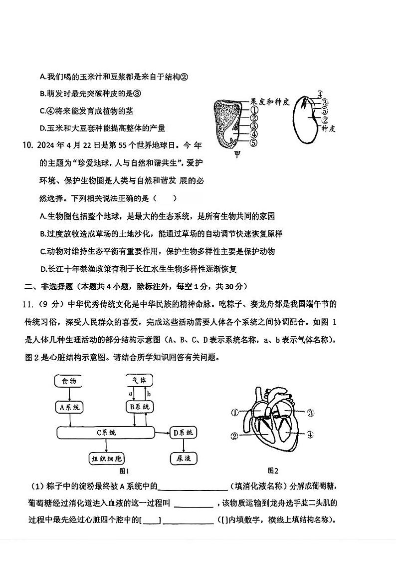 2024年湖北省钟祥市中考一模考试生物试题03
