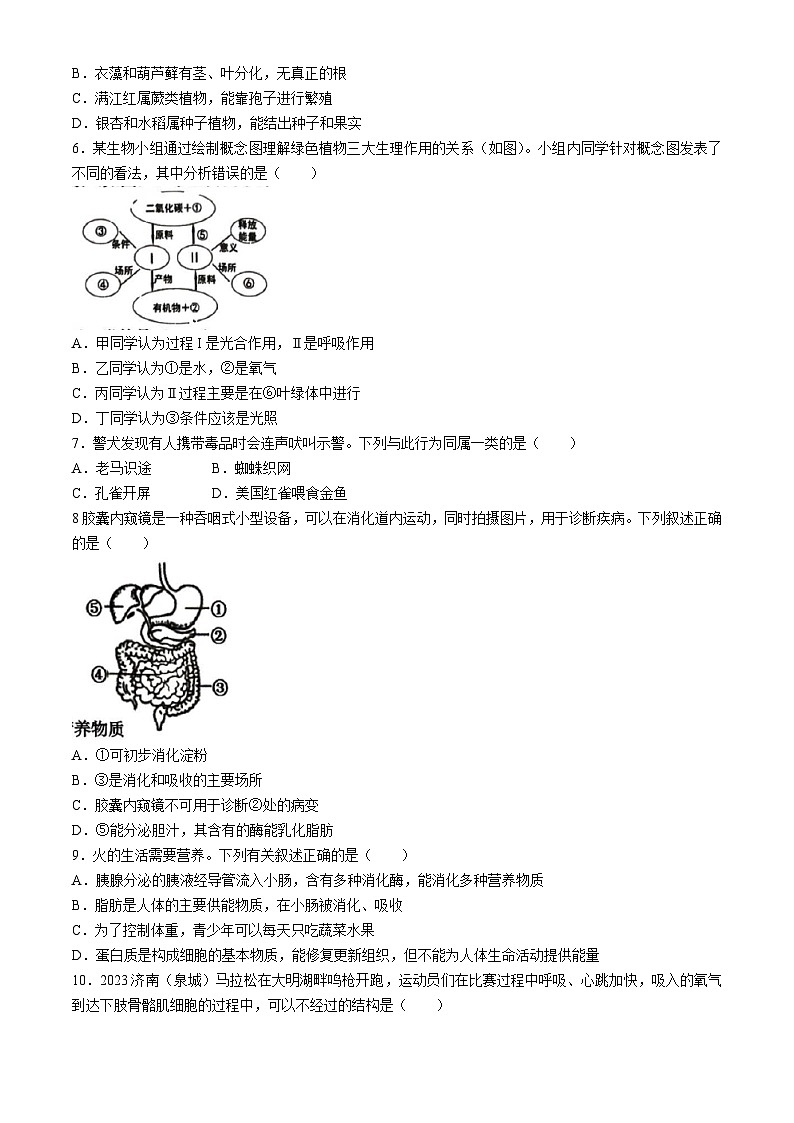 2024年山东省济南市历下区中考二模生物试题02