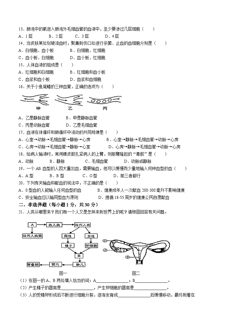 吉林省松原市长岭县2023—2024学年+七年级下学期期中教学质量检测生物试卷（含答案）第2页