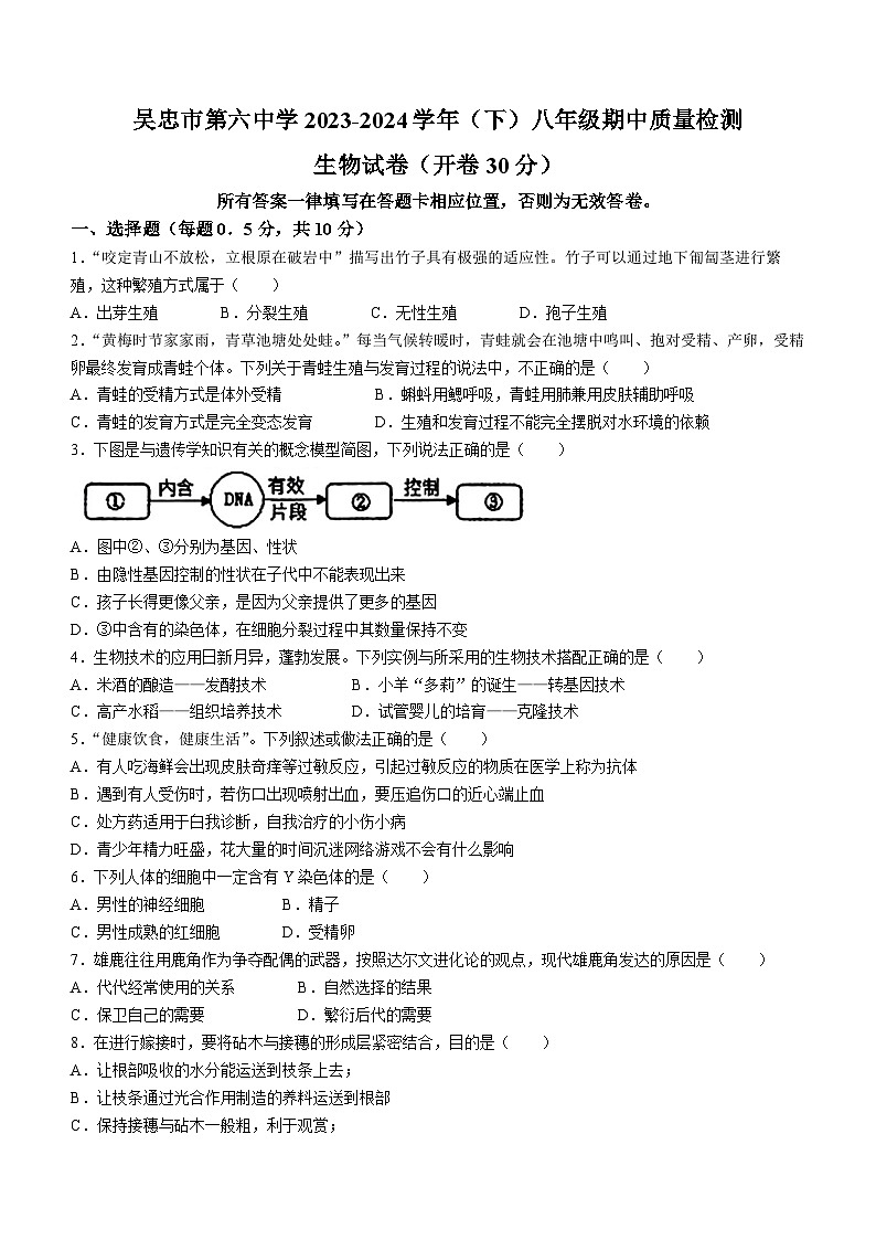 宁夏吴忠第六中学等校2023--2024学年八年级下学期期中考试生物试题01