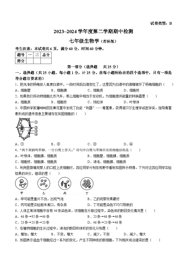陕西省渭南市高新区2023--2024学年七年级下学期期中生物试题第1页