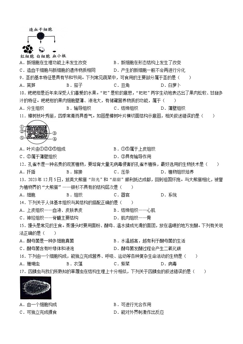 陕西省渭南市高新区2023--2024学年七年级下学期期中生物试题第2页
